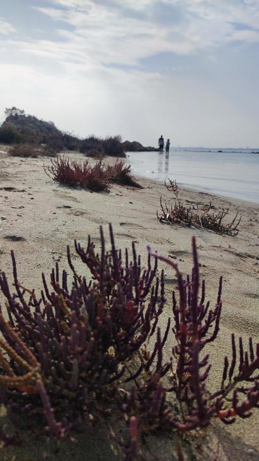 Fantastic 4 Cyprus First Line Beachfront Boghaz Buitenkant foto